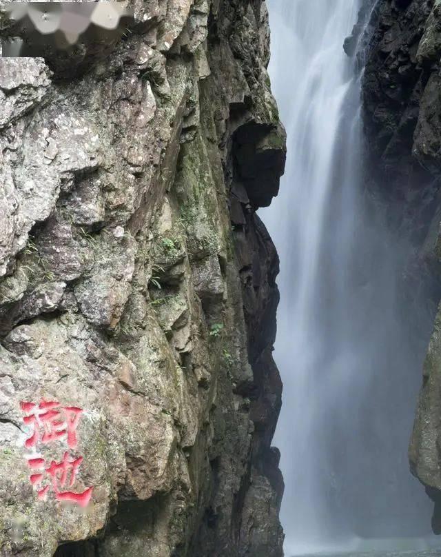 探索蜗牛世界,尽在